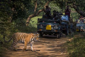 Golden Triangle with Kanha and Bandhavgarh